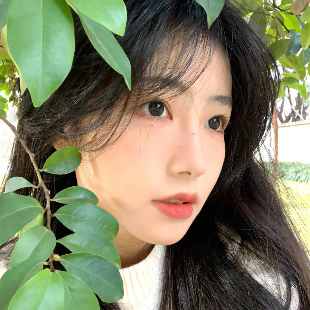 少林俗家弟子